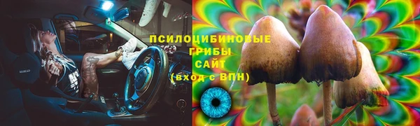 молекула духа Баксан