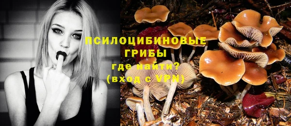 спиды Лабытнанги
