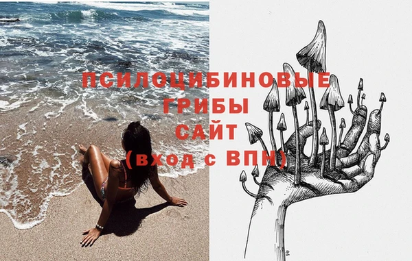 СК Балахна