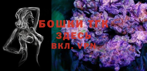 гашик Ладушкин